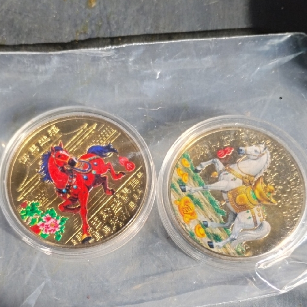 Colorful Arabian Stallion Design Coin Pair